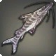 Zebra Catfish
