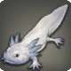 Zorlortor